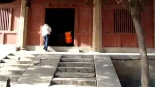 Master Huineng Tree.MPG