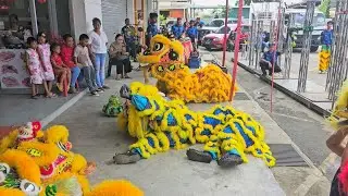 wasted lion dance ground performance