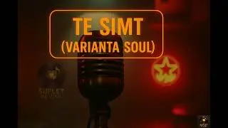 Te Simt - Soul by Suflet Pe Vinil
