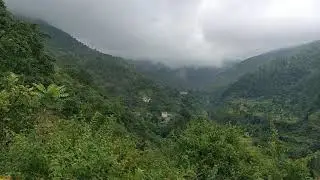 Into the Mountain #nainital #rain #solo  | 40bhp