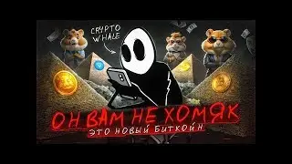 КТО ОН   CRYPTO WHALE   ВСЯ ПРАВДА ПРО ХАМСТЕР КОМБАТ   Когда Листинг, Аирдроп, Цена Монет