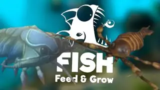 Fish: Feed & Grow - From Weak to Strong - Crab Madness