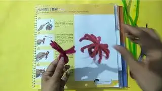 C4 -CRAFT (finger ring)