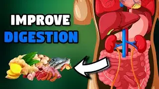 Top 20 Foods Rich In Digestive Enzymes That Will Improve Your Digestion