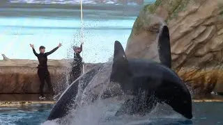Nakai's Center Pec-Up Bow Training Session - Inside Look at SeaWorld San Diego - January 31, 2022