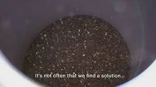 Coffee Grounds vs. Neurodegenerative Diseases #chemistry #medical #chemistry #physics #cure #brain