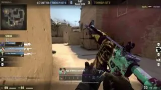 CS:GO- Drop skin or graffiti?