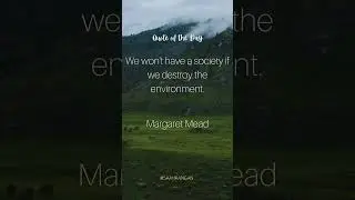 Safeguarding Society: Margaret Mead's Urgent Message on Environmental Harmony #youtubeshorts #shorts