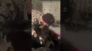 Пивовар