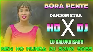 LEDENG PEDENG DANDOM STAR NEW HO MUNDA Dj SONG 2025 Dj SALUKA BABU KANDEYANG Dj BASAKUTI