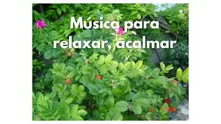 Música para relaxar, acalmar