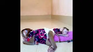 Back To Back Sleeping With Soft Eyes
