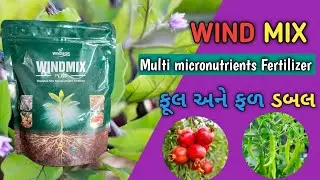Windmix Micronutrient fertilizer 🔥💥chelated mix Micronutrient 🔥#plantfertilizer#farming#agriculture 