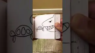 Shark Flipbook 