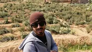 bari bagh visit hub dam enjoy salman faisal & hasnain