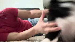 Benji Benji y papi jugando UFC