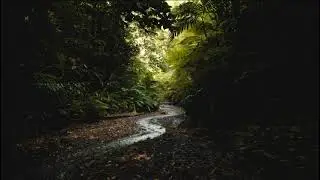 ##Alignment with God's Wil#Christian Tamil short sermon#by Y. V. E#