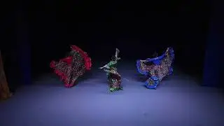 Цыганский танец