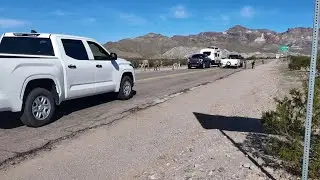 Meet the famous, free-roaming wild donkeys of Oatman, Arizona 