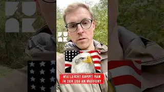 USA: Wie leicht komme ich an eine Waffe? │CRISIS #shorts