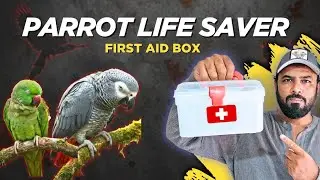 First Aid Box That Can SAVE Your Parrot&rsquo;s Life | #ShaikhTanveer #PetCare #BirdHealth 