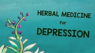 Natural medicine for depression - ABVC Biopharma