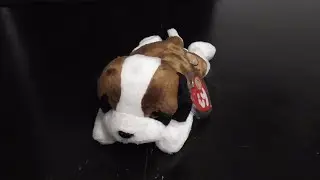 TY BEANIE BABIES 2004 OF THE MONTH ALPS THE ST. BERNARD DOG PLUSH REVIEW