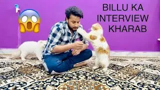 Billu G ka VLOG (interview kharab Vlogs)#cat #catcomedy #catvideos #sajidcat #billu #billu vlog