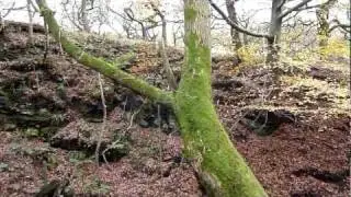 River Douglas in Tigers Clough in Rivington