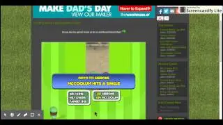 Smashtastic Cricket Carrer 01