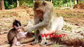 Can You Give Me? Duches Seize Food Baby, What Happen Next ? Poor Baby Quinton