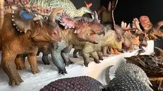 My Collection Tour (10k SUBSCRIBER SPECIAL)