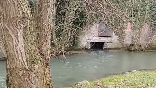 Hederquellgebiet Salzkotten-Upsprunge 13.02.2024
