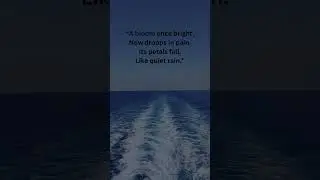 #PoetryOfGrief#DyingLove#LoveAndDesolation#BrokenHeartedSoul#WastedLove#SilentHeartache