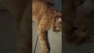 ВСЕ ДОРОГИ ВЕДУТ В БАНЮ!