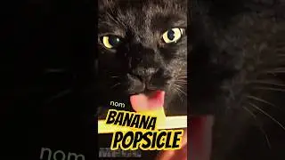 Cutest Banana Popsicle Taste Test Ever