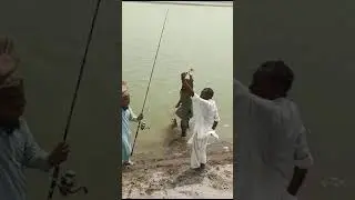Fishing by Hook in Pakistan 🇵🇰 | River & Lake Fishing Shorts 🎣 #shortsfeed