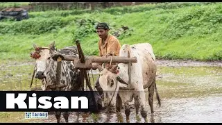 JAI KISAAN Musical Tribute To Farmers Hindi Song