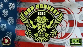 HOP HARVEST 2020 - WILLAMETTE VALLEY HOPS AND BC HOP RANCH