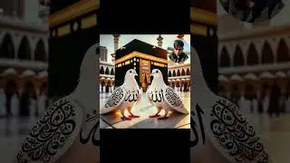 #natt#beauttfull#sabcrib#suport#loveallahﷻ