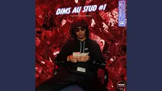 Dims au stud #1