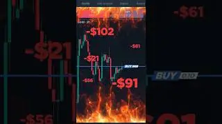 STOP Kebiasaan Trader Penyebab BANGKRUT