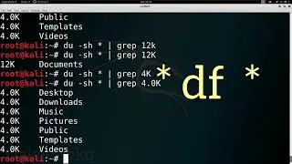 Basic Commands in Kali Linux .....pt3 (*history*, *disk usage*, *df*)