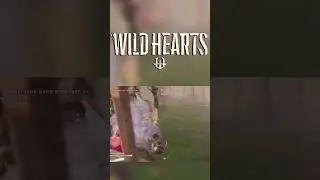 &iexcl;&iexcl;PELEO CON UNA RATA GIGANTE EXTRA&Ntilde;A!! #wildhearts #shorts #xboxgamepass #rpg  #hunting #hunter