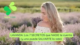 LAVANDA Los 7 SECRETOS que NADIE te cuenta