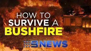 Bushfire danger ratings and warnings explained | Nine News Australia