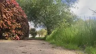 Dry Creek Greenway Project: New walking and biking trails in Roseville