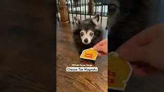 Official Puppy Songs Cheese Tax Magnets (stickers too!)
