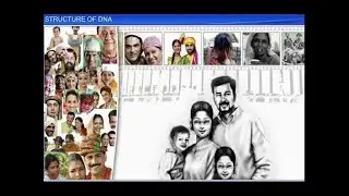 CBSE Class 12 Biology, Molecular Basis of Inheritance &ndash; 1, Structure of DNA