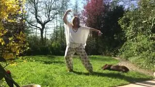 Qi Gong - HARMONY EXERCISE